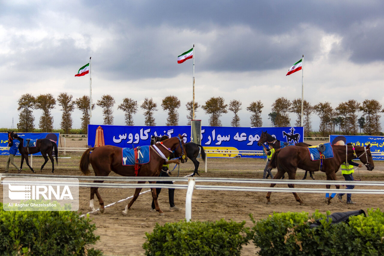 تصاویر: مسابقات اسبدوانی کورس پاییزه گنبدکاووس