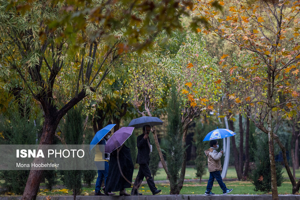 تصاویر: باران پاییزی در تهران