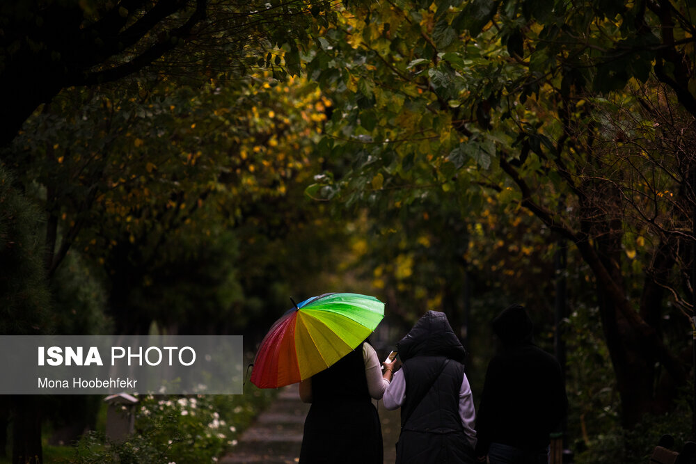 تصاویر: باران پاییزی در تهران