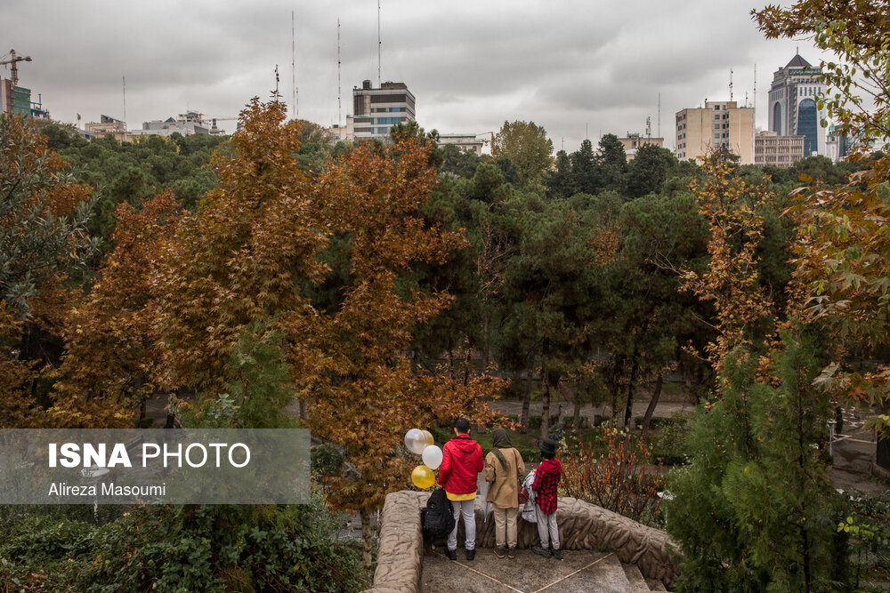 تصاویر: باران پاییزی در تهران