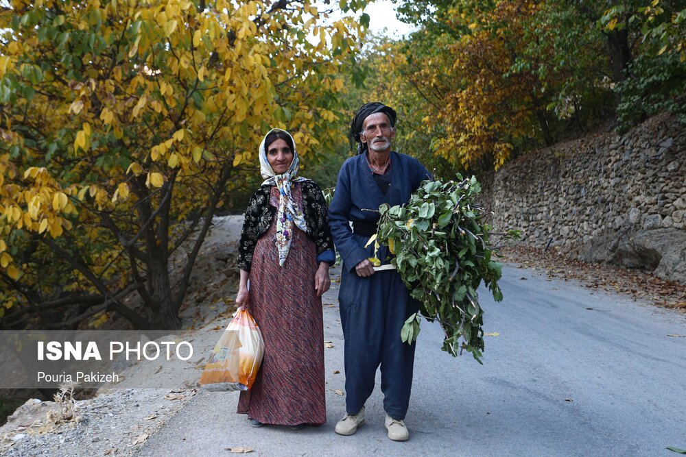 تصاویر: &laquo;سیروان&raquo;