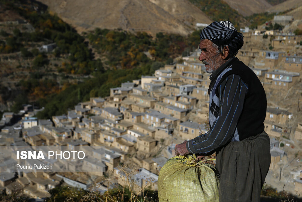 تصاویر: &laquo;سیروان&raquo;