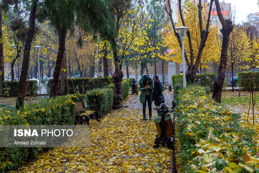 تصاویر: باران برگ ریز پاییزی در قم