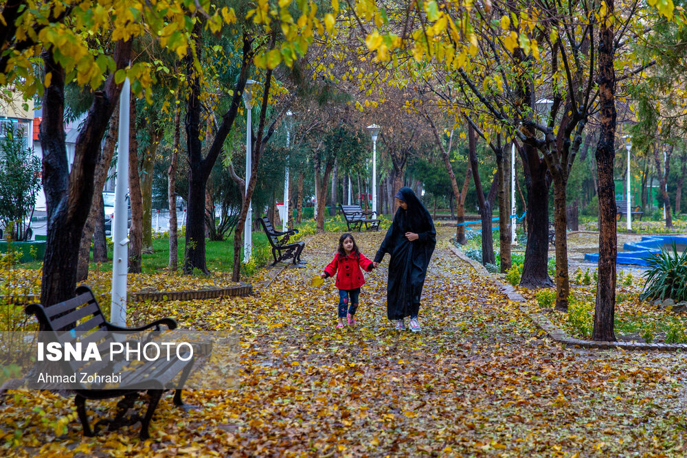 تصاویر: باران برگ ریز پاییزی در قم