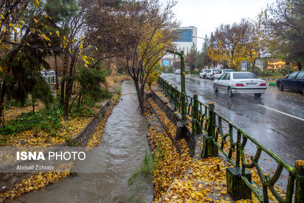 تصاویر: باران برگ ریز پاییزی در قم