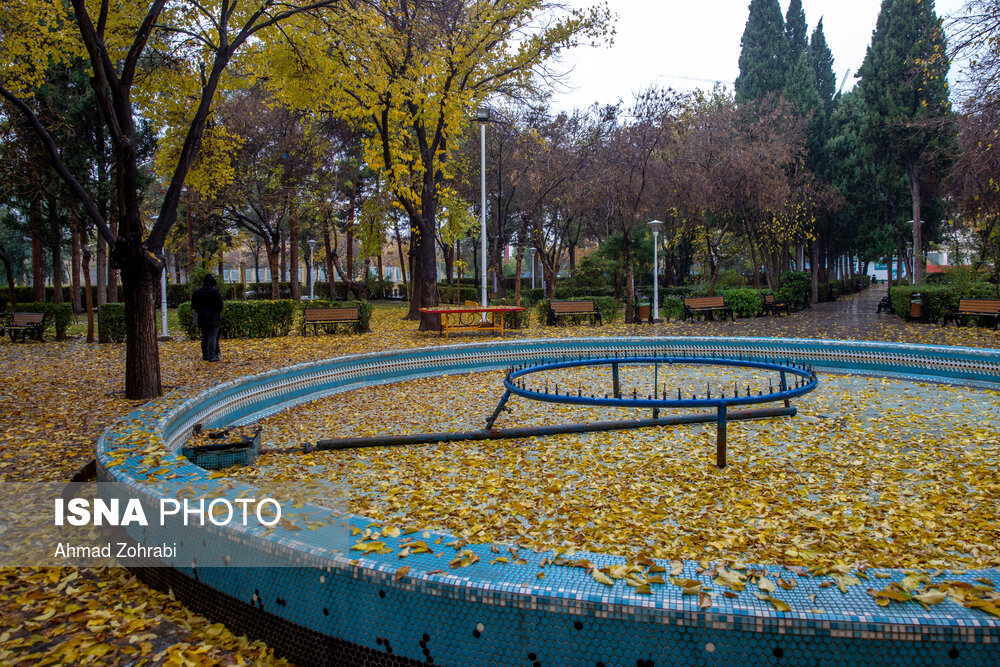تصاویر: باران برگ ریز پاییزی در قم