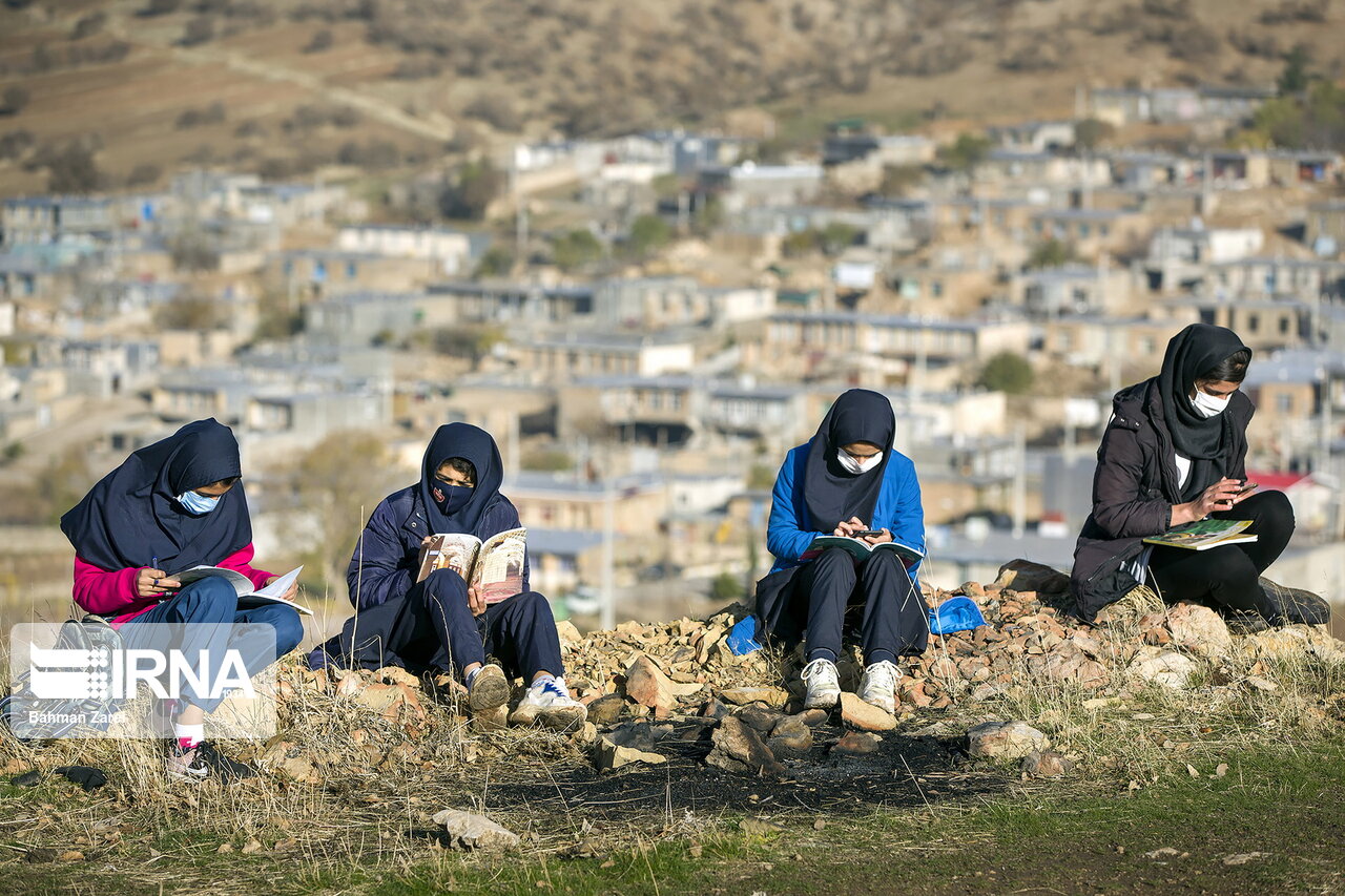 تصاویر: در جستجوی شبکه