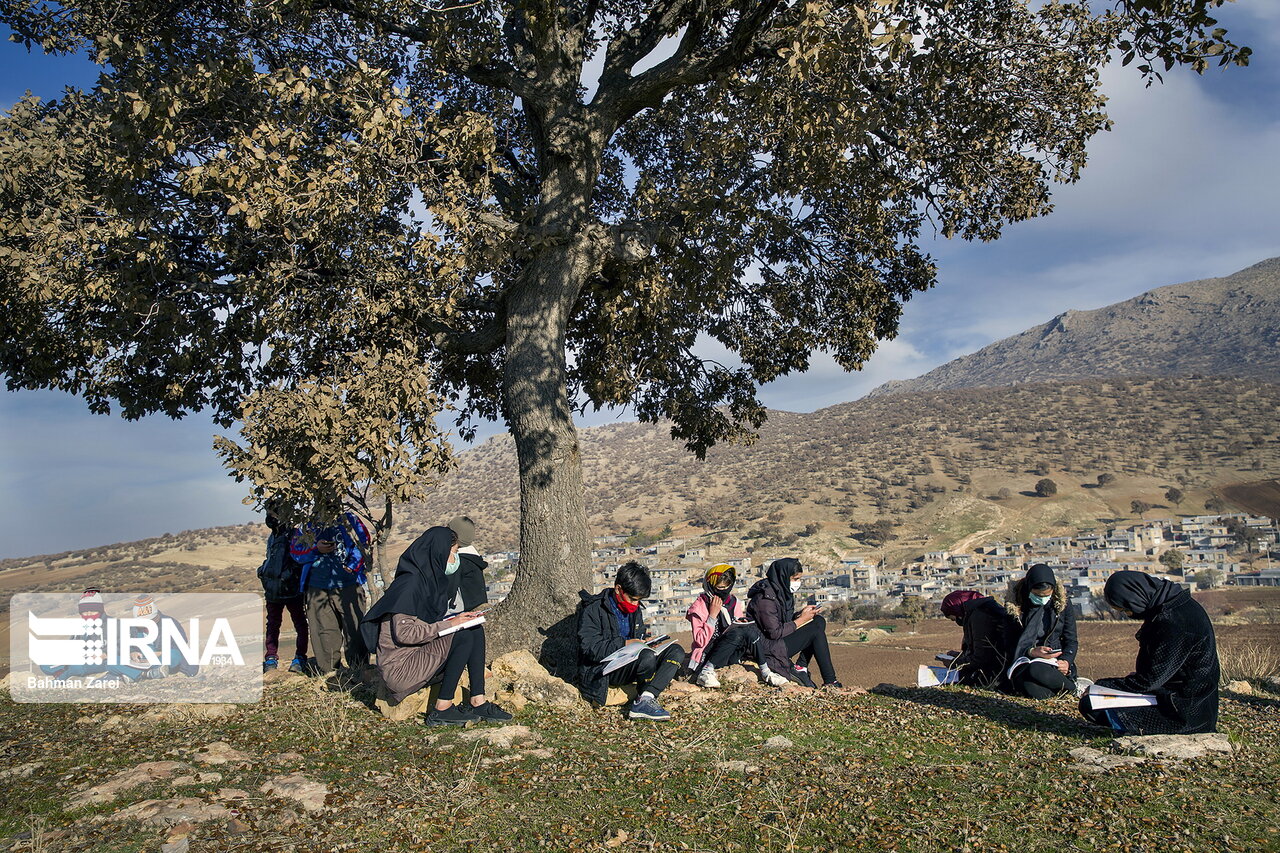 تصاویر: در جستجوی شبکه