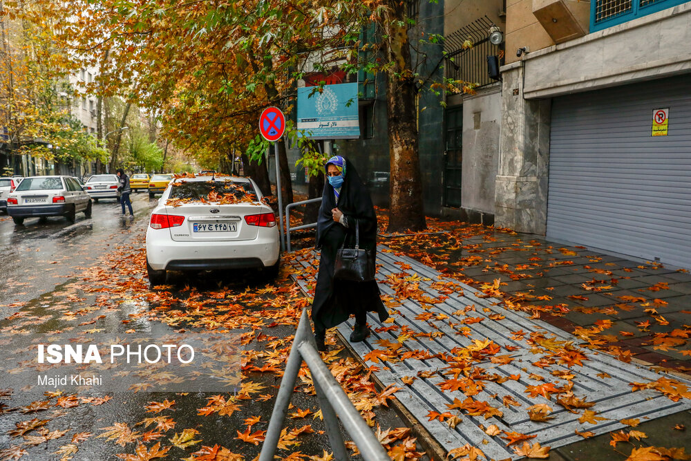 تصاویر: برگ&zwnj;ریزان پاییز در خیابان&zwnj;های تهران