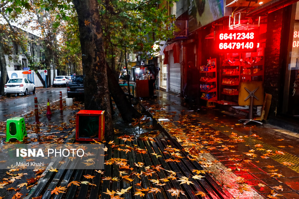 تصاویر: برگ&zwnj;ریزان پاییز در خیابان&zwnj;های تهران