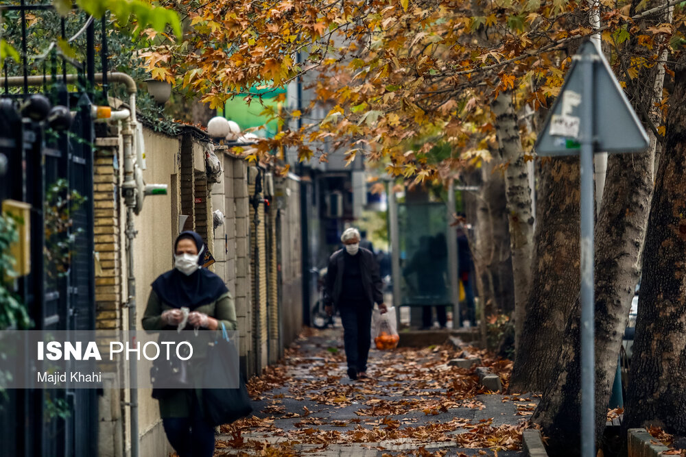 تصاویر: برگ&zwnj;ریزان پاییز در خیابان&zwnj;های تهران
