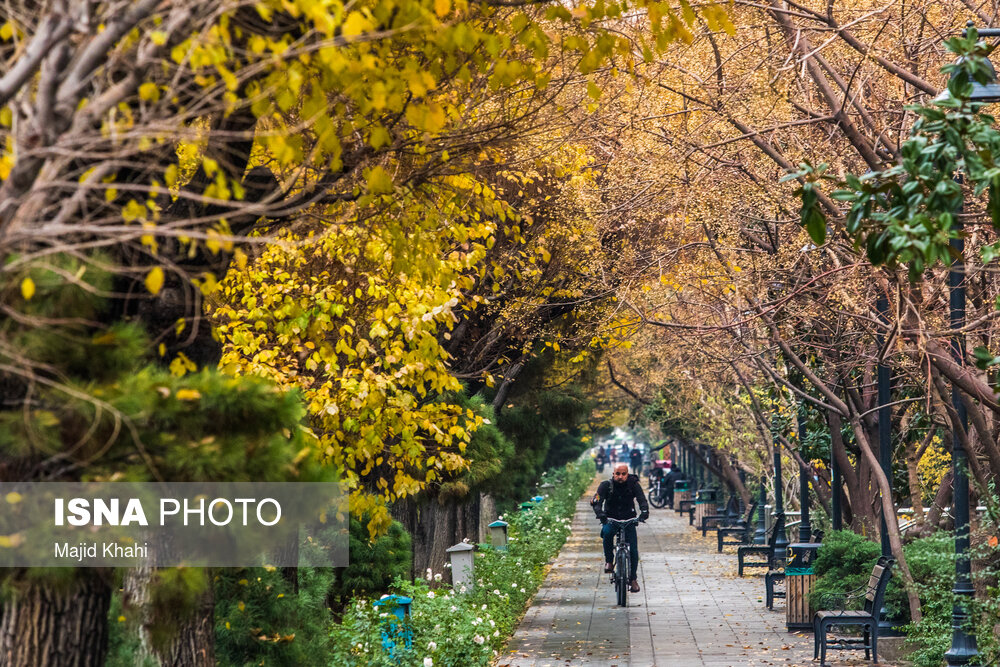 تصاویر: برگ&zwnj;ریزان پاییز در خیابان&zwnj;های تهران