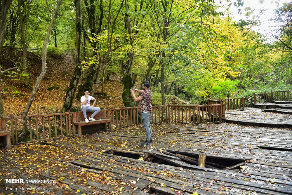 تصاویر: پاییز هزار رنگ در نگارستان ایران