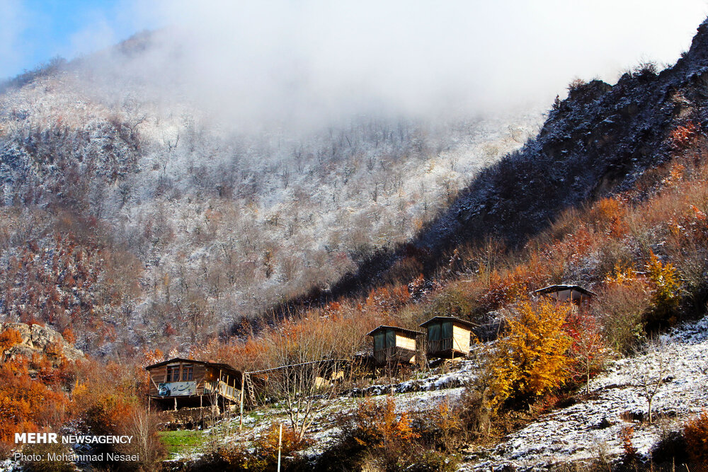 تصاویر: برف پاییزی در ارتفاعات روستای زیارت