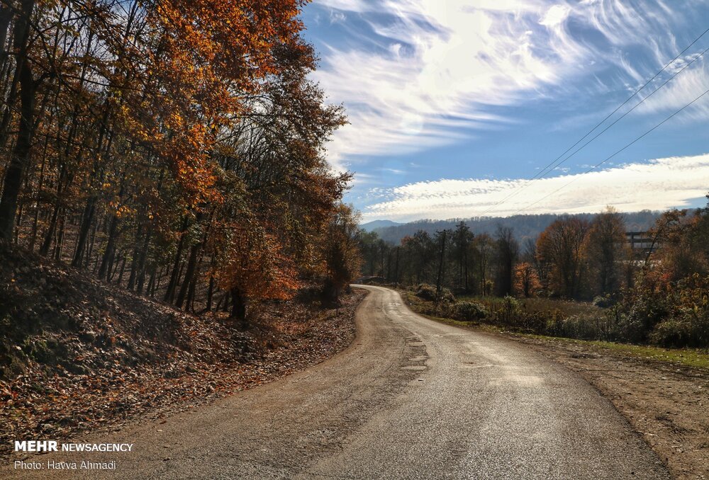 تصاویر: &laquo;خداحافظ پاییز&raquo;