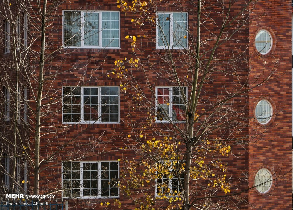 تصاویر: &laquo;خداحافظ پاییز&raquo;