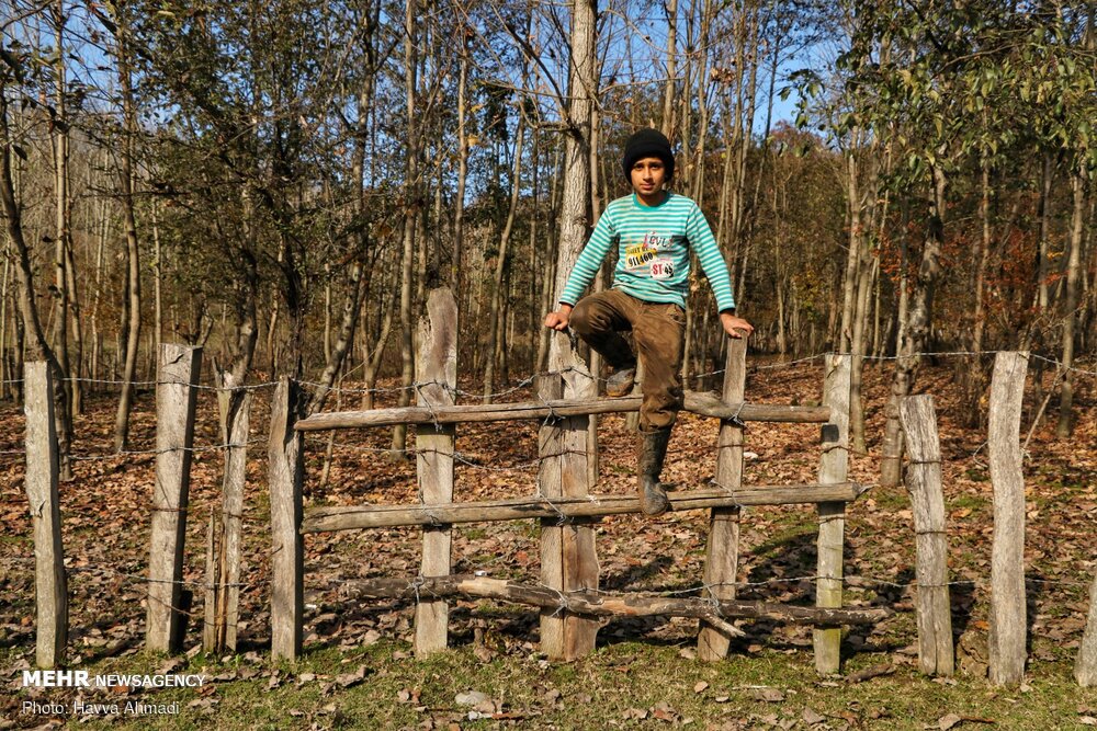 تصاویر: &laquo;خداحافظ پاییز&raquo;