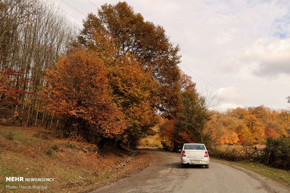 تصاویر: &laquo;خداحافظ پاییز&raquo;
