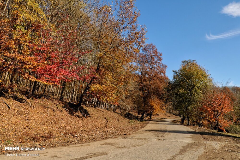 تصاویر: &laquo;خداحافظ پاییز&raquo;
