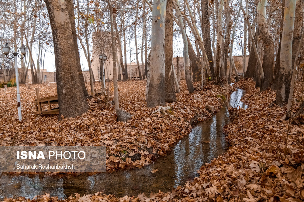 تصاویر: لباسِ پاییزی باغ پهلوان پور