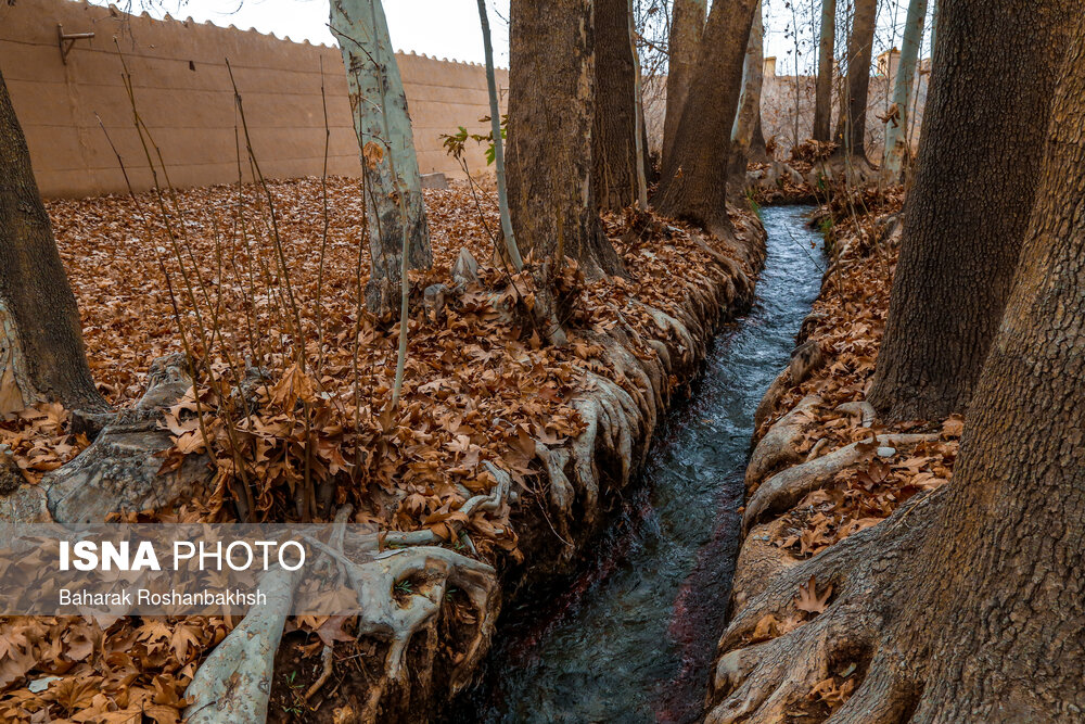 تصاویر: لباسِ پاییزی باغ پهلوان پور