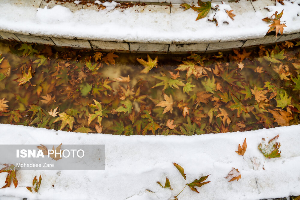 تصاویر: بارش اولین برف پاییزی در مشهد