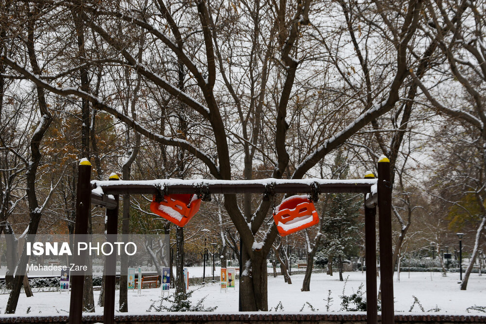 تصاویر: بارش اولین برف پاییزی در مشهد