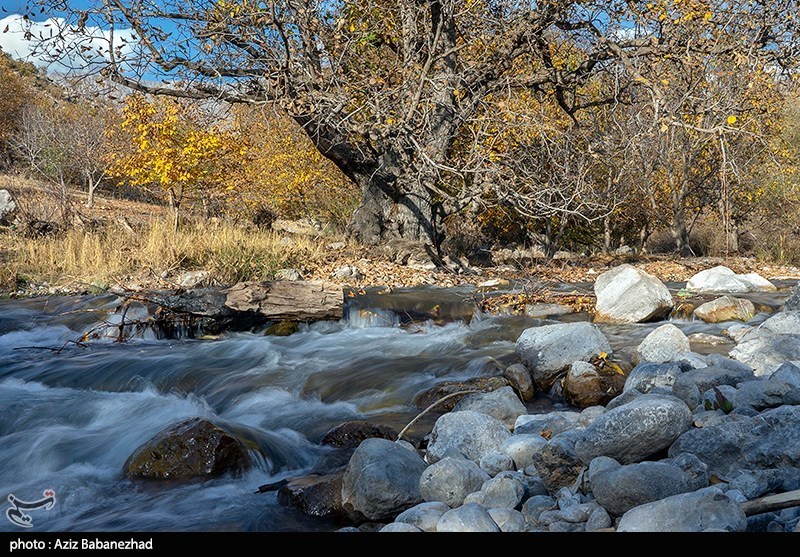 تصاویر: طبیعت پاییزی الشتر - لرستان