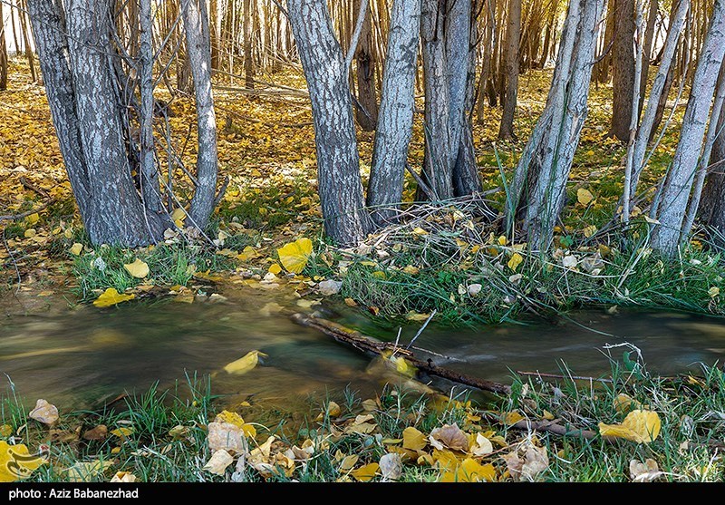 تصاویر: طبیعت پاییزی الشتر - لرستان