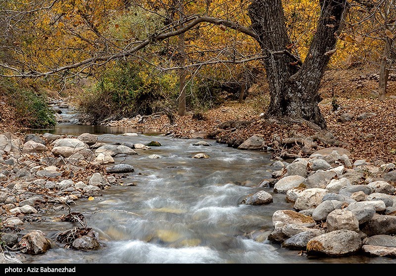 تصاویر: طبیعت پاییزی الشتر - لرستان