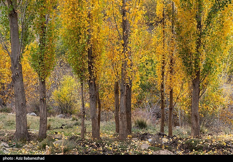 تصاویر: طبیعت پاییزی الشتر - لرستان