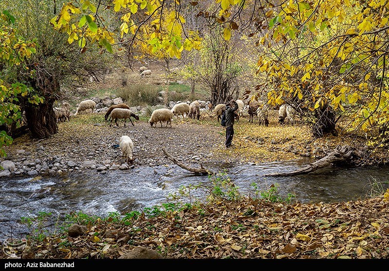 تصاویر: طبیعت پاییزی الشتر - لرستان