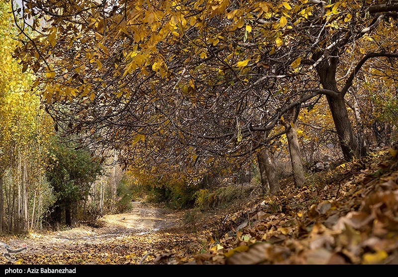 تصاویر: طبیعت پاییزی الشتر - لرستان