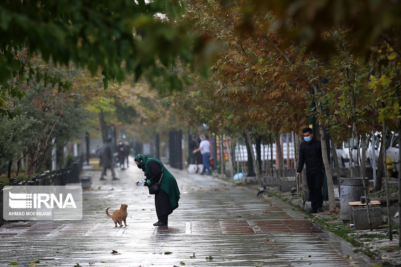 تصاویر: تهران در چهارمین روز اعلام محدودیت ها