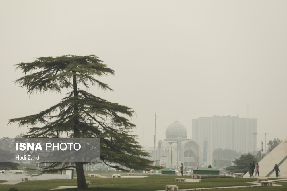 تصاویر: تهران در مه