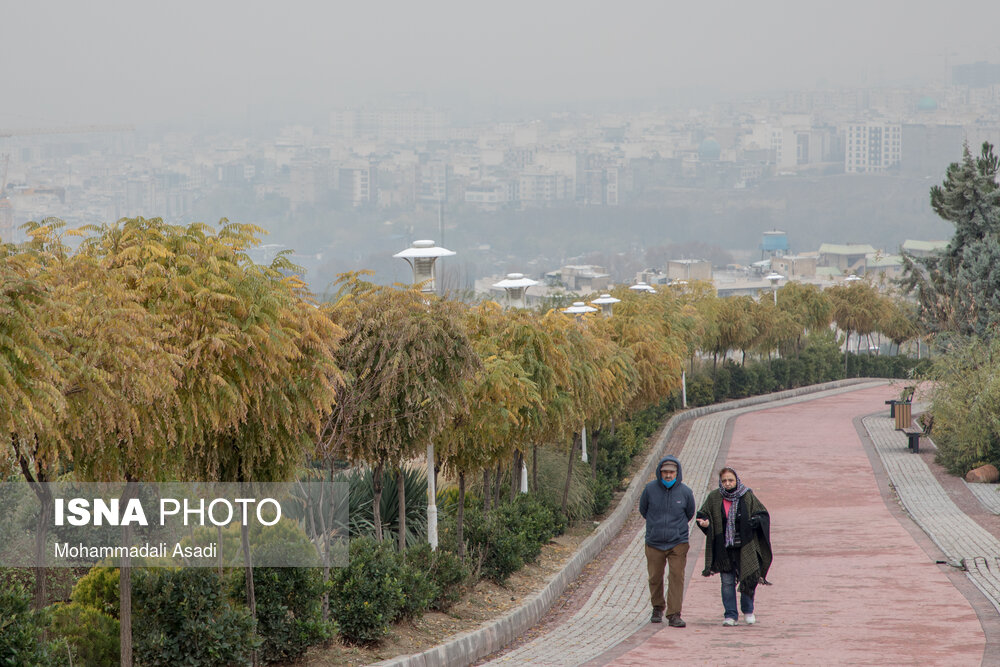 تصاویر: تهران در مه