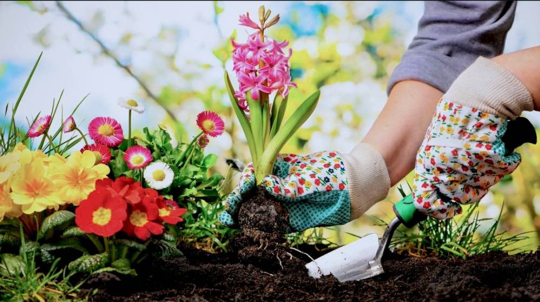  پرورش گیاهان