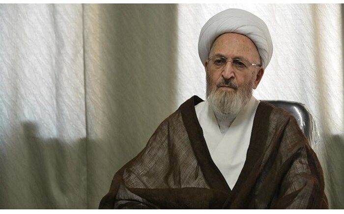 آیت الله سبحانی: عده ای از طلاب در فکر انصراف از حوزه هستند