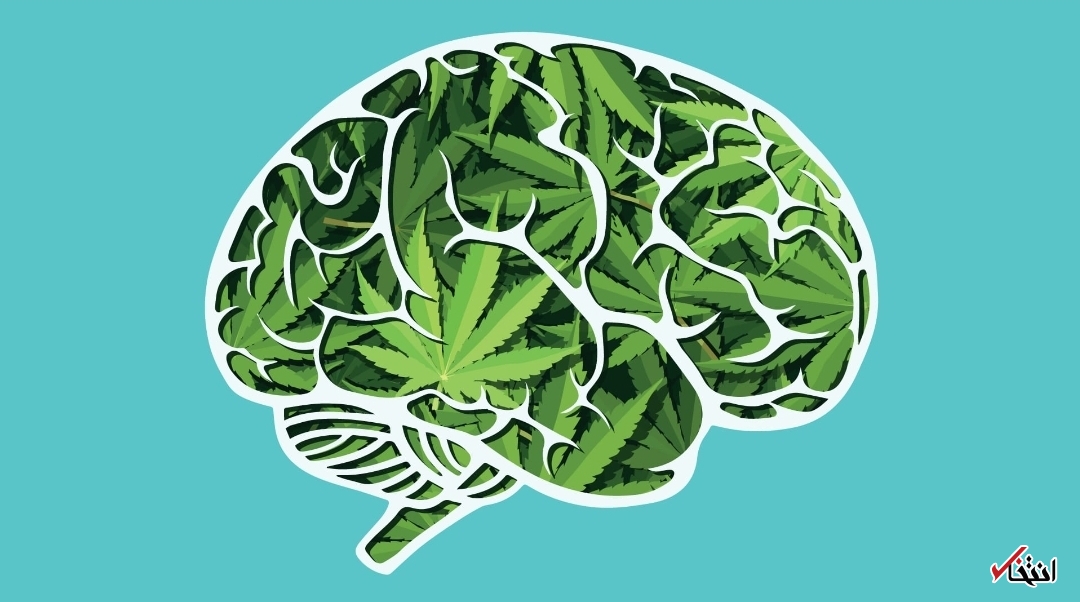 ارتباط حشیش و روان پریشی