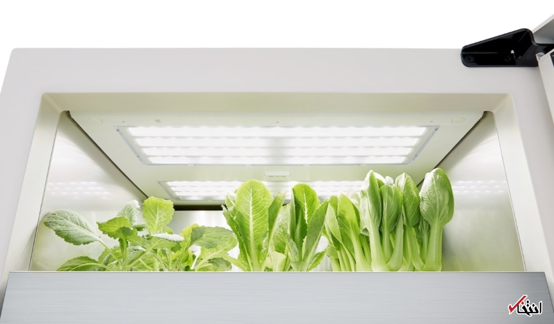 باغچه هوشمند با قابلیت پرورش انواع گیاهان+تصاویر