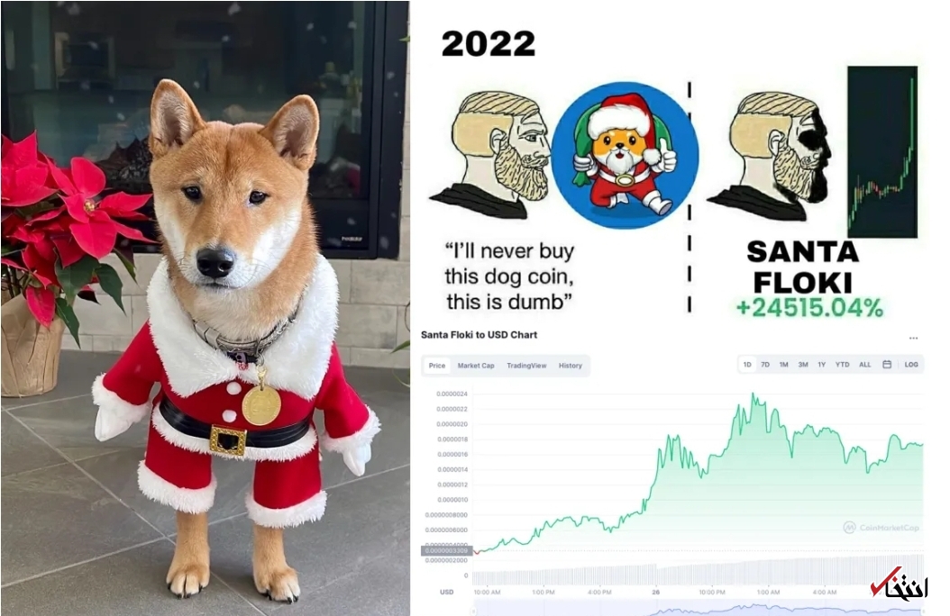 افزایش ارزش یک ارز دیجیتال گمنام با توییت ایلان ماسک