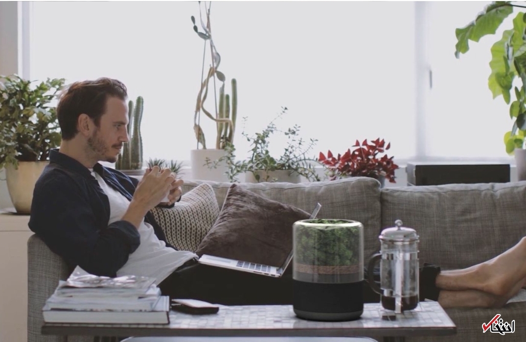 تصفیه هوای هوشمند با کمک گیاهان+ تصاویر