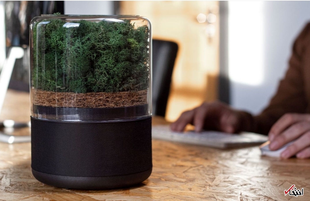 تصفیه هوای هوشمند با کمک گیاهان+ تصاویر