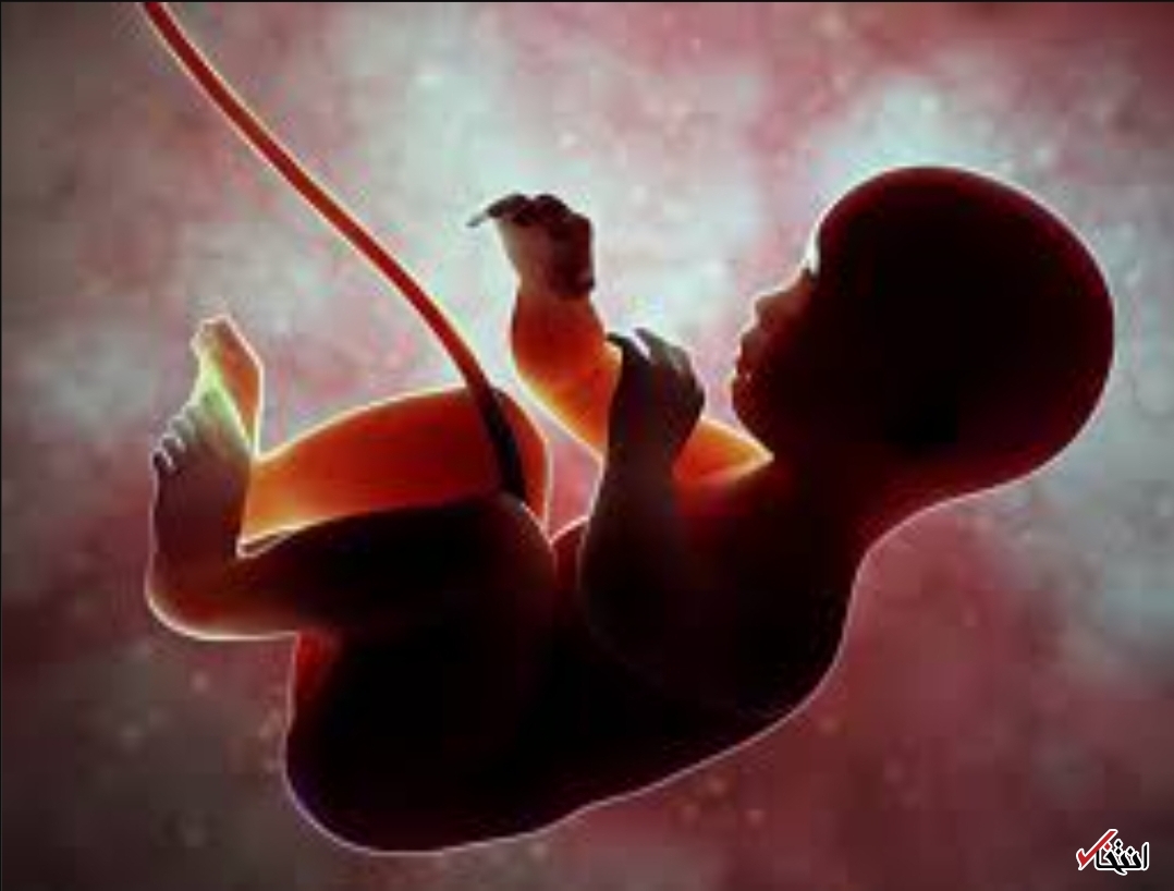 طرح انقلابی چینی&zwnj;ها در توسعه رحم مصنوعی