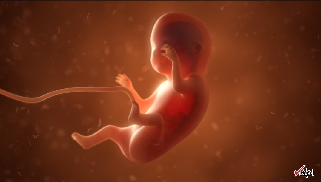 جعل بارداری یک مقام دولتی برای مرخصی استعلاجی