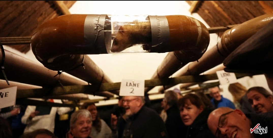 تصاویر یکی از عجیب&zwnj;ترین مسابقات جهان