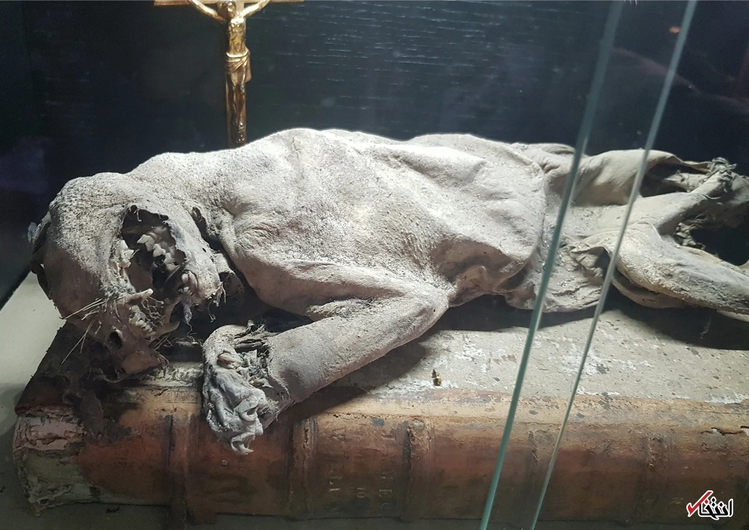 مسافرخانه ارواح+تصاویر