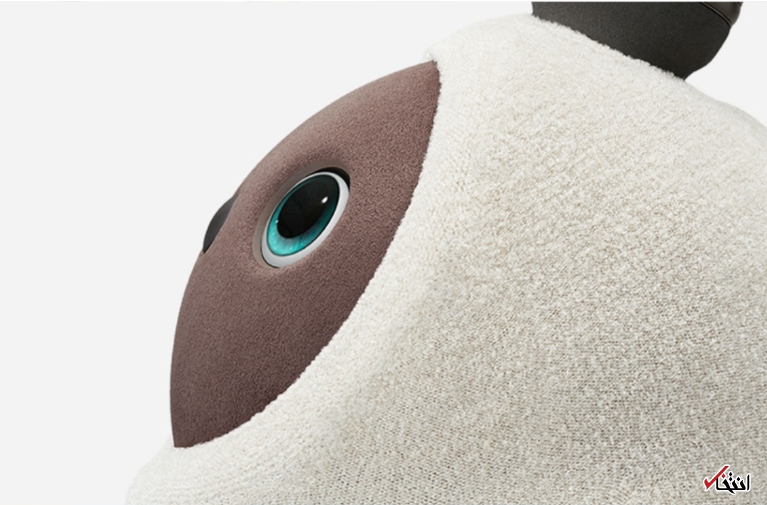 ربات کوچکی که جای حیوان خانگی را می&zwnj;گیرد+تصاویر&nbsp;&nbsp;