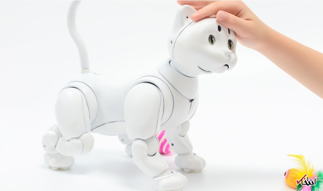 گربه رباتیک مبتنی بر هوش مصنوعی+تصاویر