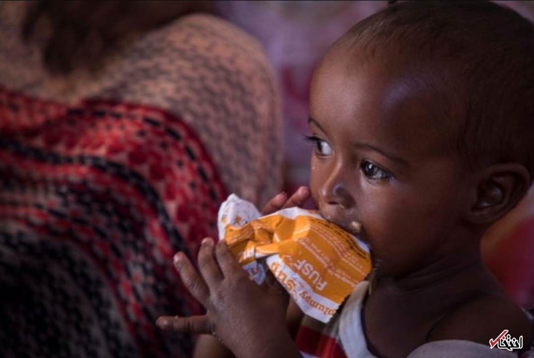 فاجعه کمبود مواد غذایی در راه است